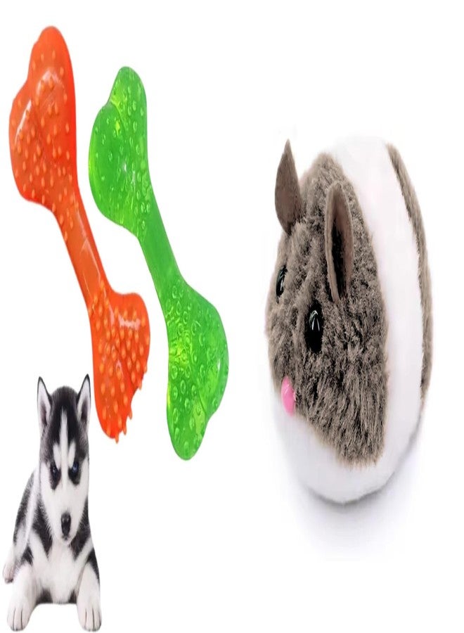 PET FUN لعبة مضغ عظمة مطاطية ناعمة مدببة من بيت فن للكلاب والجراء | لعبة فأر تعمل بالزنبرك لتنظيف الأسنان غير سامة مع ذيل دوار للقطط والقطط الصغيرة | مجموعة لعب تفاعلية من قطعتين - Image 1